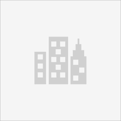 Thinkdolphin Web Design