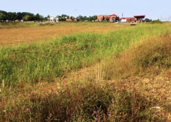 Area where new Chick-fil-A will be built in Adams Twp.