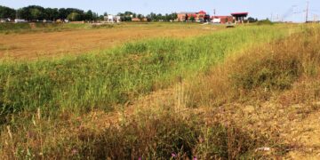 Area where new Chick-fil-A will be built in Adams Twp.