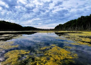Community Gathers for First-Ever “Celebrate the Lake” at Glade Run