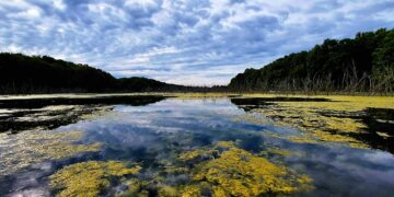 Community Gathers for First-Ever “Celebrate the Lake” at Glade Run