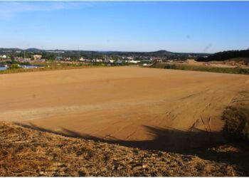 228 Corridor Milestone: Wegmans to Open in Cranberry Twp.