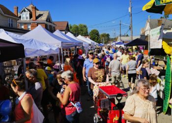 Mars Borough Council to Vote Monday on New Events Policy That Would Limit Who Can Host Public Events