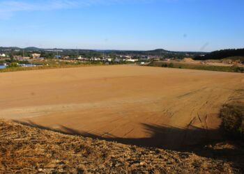 Wegmans Reaches Major Construction Milestone in Cranberry Township