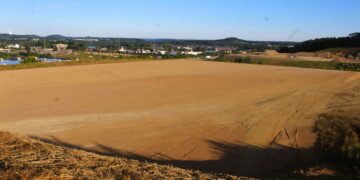 Wegmans Reaches Major Construction Milestone in Cranberry Township